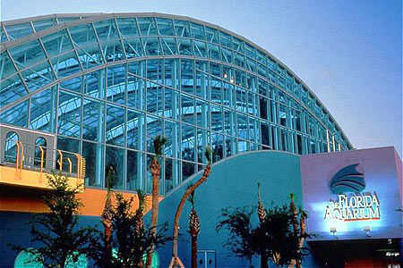 Country & By Radisson, Tampa-brandon, Fl 3* Heartland